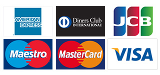 Mastercard AmericanExpress DinnersClub JCB Maestro Visa
